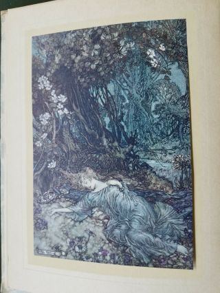 A MIDSUMMER NIGHT ' S DREAM by William Shakespeare 1912,  illus ARTHUR RACKHAM 3rd 7