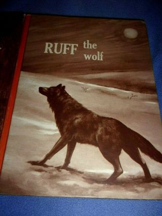 3 Vintage 1964 to 1966 Books Ruff Wolf Sleeky Gatie Wildlife Adventure Series 4