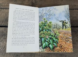 WHAT TO LOOK FOR IN WINTER ' Vintage Ladybird Book 4