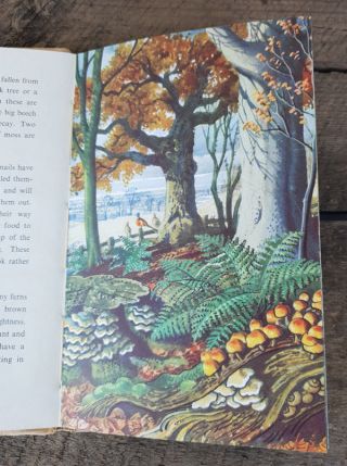 WHAT TO LOOK FOR IN WINTER ' Vintage Ladybird Book 5