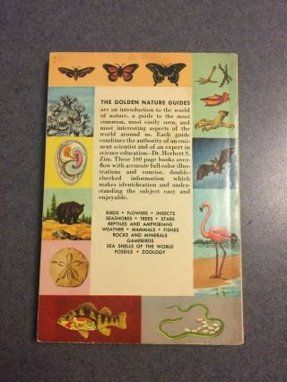 1958 A Golden Science Guide: Zoology Vintage Illustrated Paperback 2