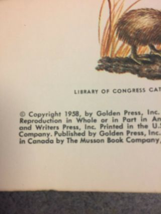 1958 A Golden Science Guide: Zoology Vintage Illustrated Paperback 4