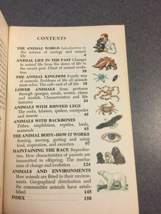 1958 A Golden Science Guide: Zoology Vintage Illustrated Paperback 5