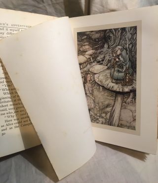 Alice in wonderland.  1907 Arthur Rackham Illustrations.  1st Edition. 5