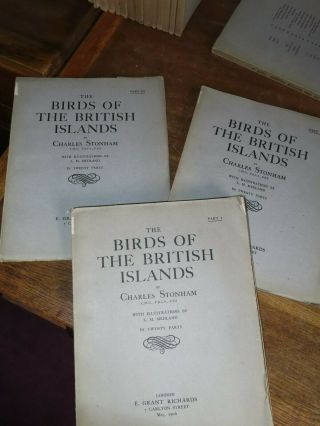 1906 BIRDS OF THE BRITISH ISLANDS BY STONHAM & MEDLAND 317 PLATES ORNITHOLOGY 4
