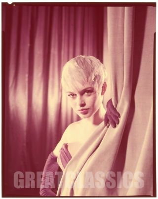 Brigitte Bardot Plucking The Daisy 1956 4x5 Color Vintage Transparency