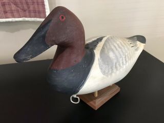 Hand Carved Canvasback Decoy Signed Capt Harry Jobes