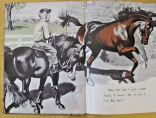 Little Black A Pony 1st Edition 1961 Walter Farley Dr.  Seuss Beginner Books 3