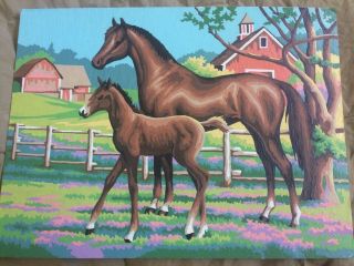 Vintage Paint By Number Horse And Foal 9 " By 12 "