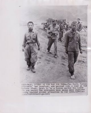 Korean War North Korean Barefoot Pows Vintage Iconic 1951 Press Photo