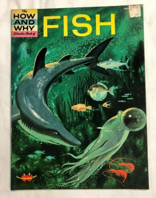 The How And Why Wonder Book Of Fish Geoffrey Coe 1963