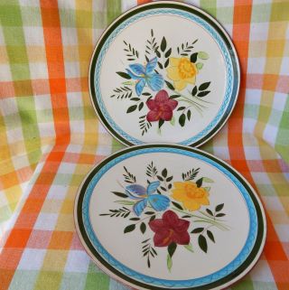 Vintage Stangl Pottery - Country Garden - Handpainted Dinner Plates 2 - Spring