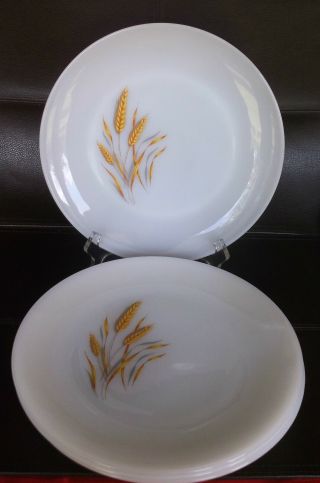 4 Vintage Fire King Oven Ware Wheat 10 " Dinner Plates -