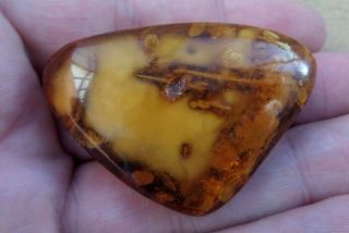 Old Baltic Amber Stone Brooch Egg Yolk Natural Vintage 10 G.  N/r