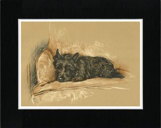 Scottish Terrier In A Chair Vintage Style Dog Art Print Matted Ready To Frame