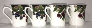 Regal Heritage Bone China Vintage Cups Cherries/berries Set Of 4 Cups England