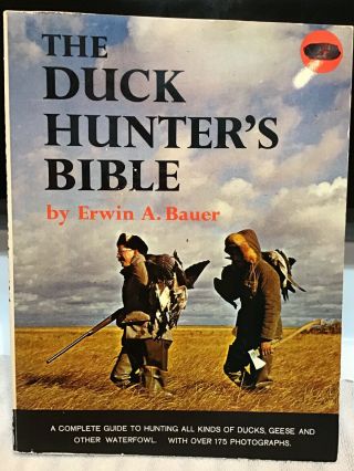 The Duck Hunter 