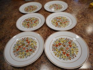 Vintage 1960s 0r 1970s Corelle " Indian Summer " 6 Lunch / Salad Plates 8 1/2 In.