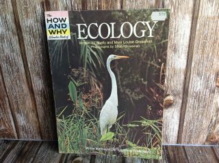 The How And Why Wonder Book Of Ecology - 70s Edition - Vintage Book
