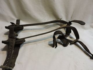 Vintage Bell System M.  Klein & Sons 15” Pole Tree Climbing Gaffs Spikes Spurs