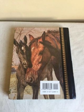 Vintage 1986 HC Illustrated Classic Black Beauty Anna Sewell Childrens Classic 2
