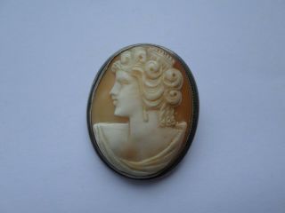 Small Vintage Shell Cameo Pendant Brooch Sterling Silver Frame Broken Clasp