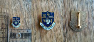 Tottenham Hotspur Vintage Members Club Shield Pin Badge Spurs