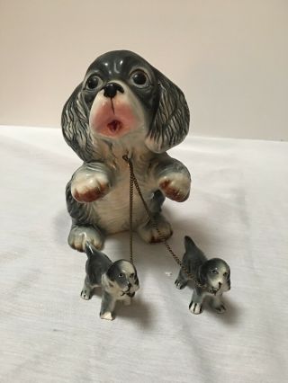 Vintage Mcm Big - Eyed Cocker Spaniel With Leashed Puppies - Small Damage To Foot