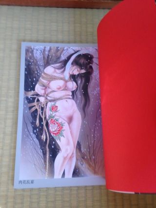 Bondage Tattoo YOKO OZUMA illustrations irezumi SM book kinbaku F/S Japan 12