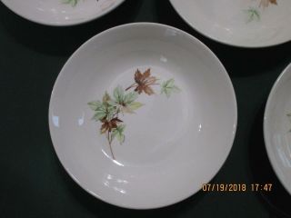 7 Vintage Salem Maple Leaf Pattern Dessert Coupe Cereal 6 1/4 " Bowls