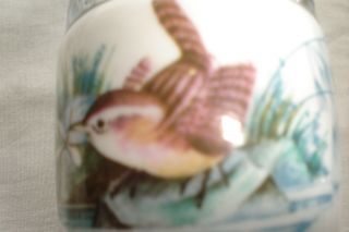 Vintage Royal Worcester Porcelain Egg Coddler Bird Pattern Made England 4