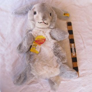 Vtg 17 " Steiff Jolly Hase Rabbit Bunny Hand Puppet W/ All Tags