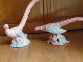 Vtg Royal Haeger Ceramic Blue & Pink Male / Female Pheasant Figurine With Tag