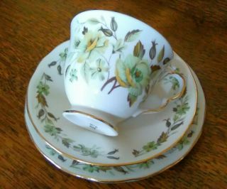 Colclough Fine Vintage Bone English China Green Roses Floral Cup Saucer Plate