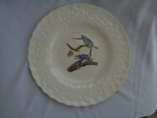 Vintage Alfred Meakin England National Audubon Society Plate 2 Passenger Pigeon