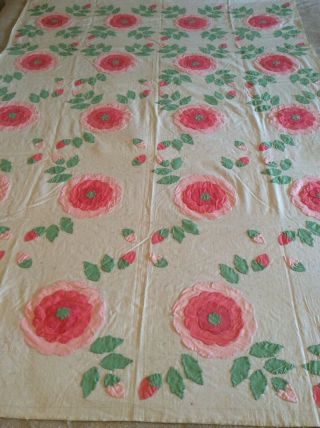 Vintage Home Needlecraft Creations Appliqué Quilt Top From A Kit: Ohio Rose