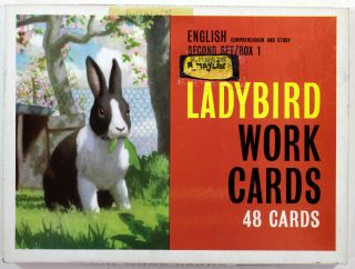 Old Vintage Ladybird Work Cards English Second Set Box 1 48 Cards Teaching 1960s