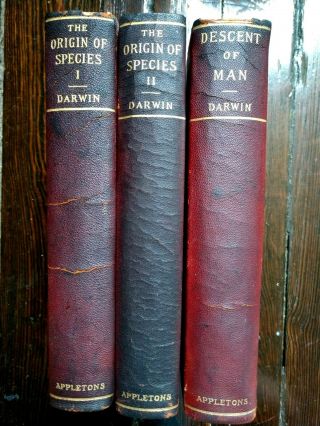 Origin of Species (2 Vols) & Descent of Man,  Chas.  Darwin,  1896,  quarter - leather 2