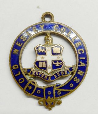 Vintage Enamel School Badge.  