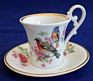 Kaiser Porcelain Demitasse Cup & Saucer,  Vintage W.  Germany,  Birds & Flowers