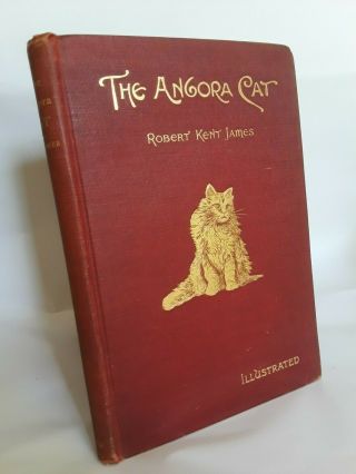Rare Antique Robert Kent James The Angora Cat Illustrated 1st Edition 1898 Nr