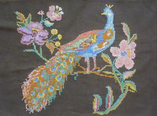 Vintage Completed Cross Stitch Sampler Peacock Bird 18 " X13 "