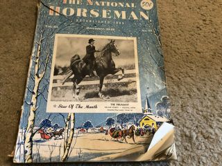 Saddlebred Walking Horse Vintage Nat 