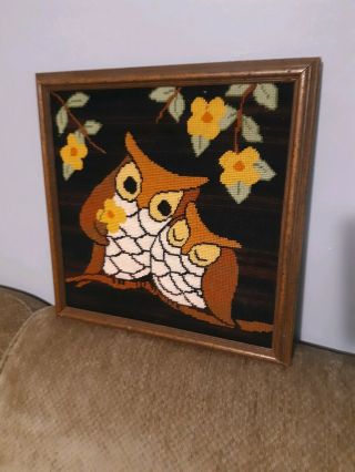 Vintage Mcm Owls Needlepoint Picture In Frame 15 " X 15 "