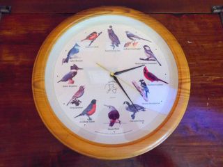 Authentic Vintage National Audubon Society 13” Singing Bird Quartz Wall Clock 7