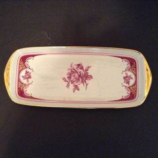 Vintage Czechoslovakia Porcelaine Fine De Boheme Serving Platter Valentine Color