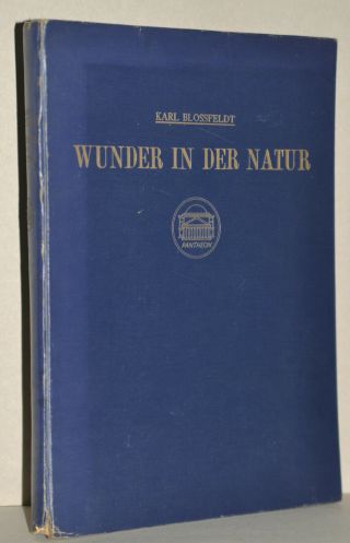 Karl Blossfeldt Wunder In Der Natur 1942 120 Photogravures