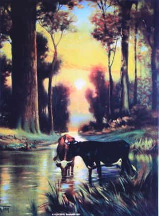 Cows In Moon Lit Stream R.  Atkinson Fox Vintage Art