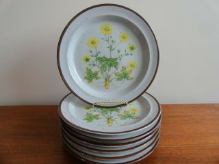 Vintage Buttercup Japan Stoneware 7 Plates Only Brown Yellow Botanical