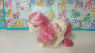 Vintage G1 My Little Pony Mommy Apple Delight Pretty